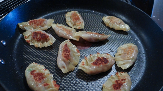 Potstickers cooked on one side.