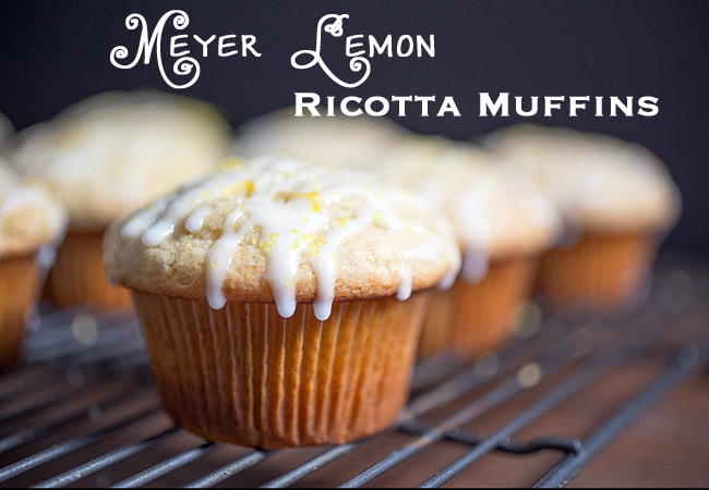 Lemon Ricotta Muffins at theeggfarm.com