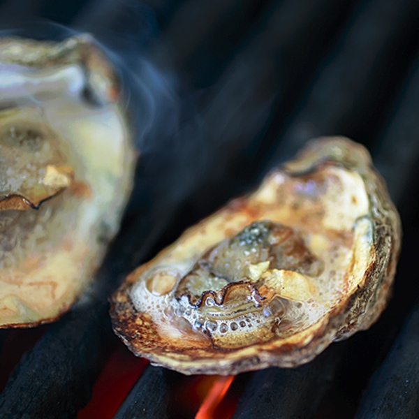 Oysters after grilling with bubbling hot butter.