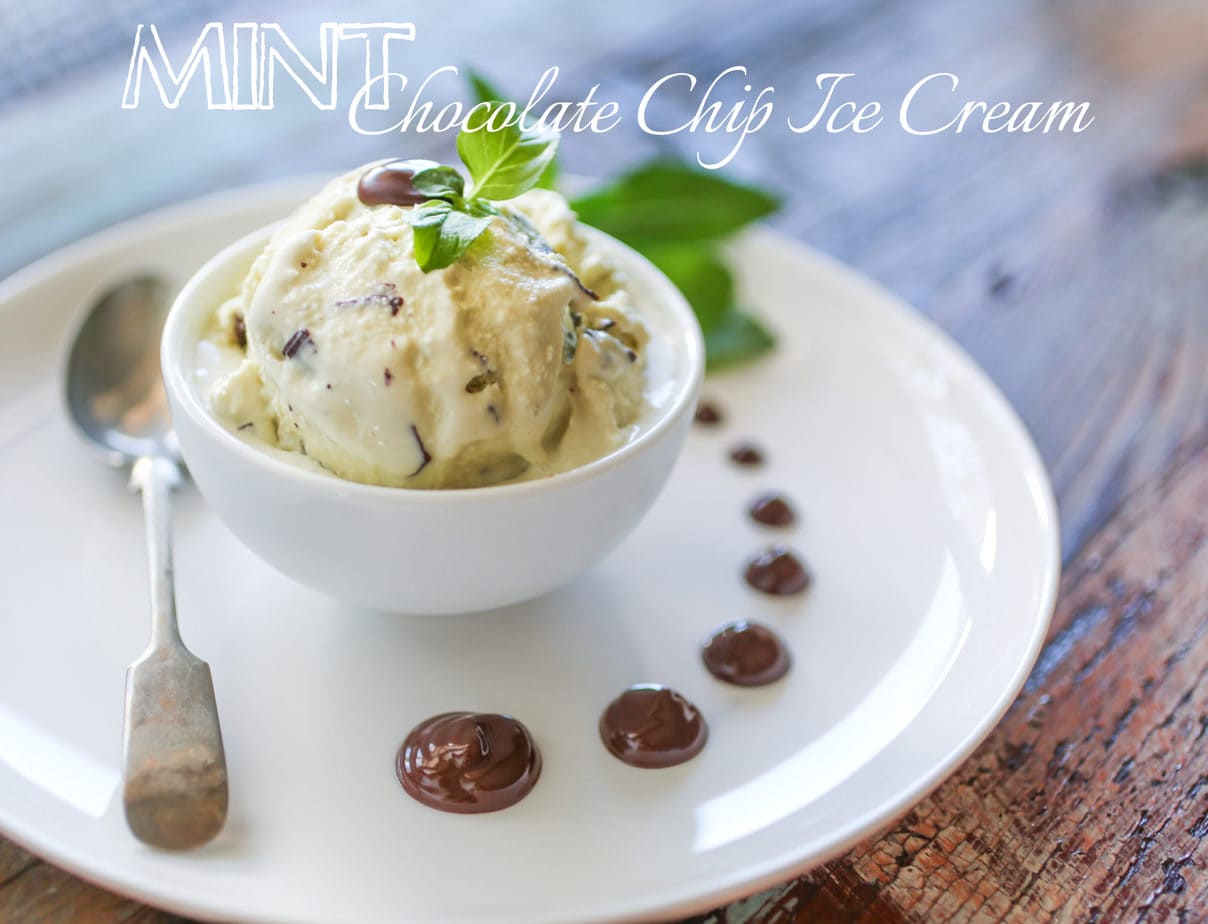 Bowl of Mint chocolate chip ice cream.