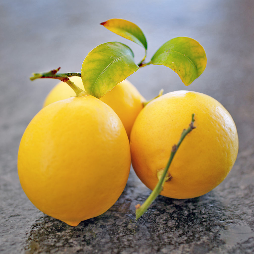 three beautiful Meyer lemons for my lemon bars